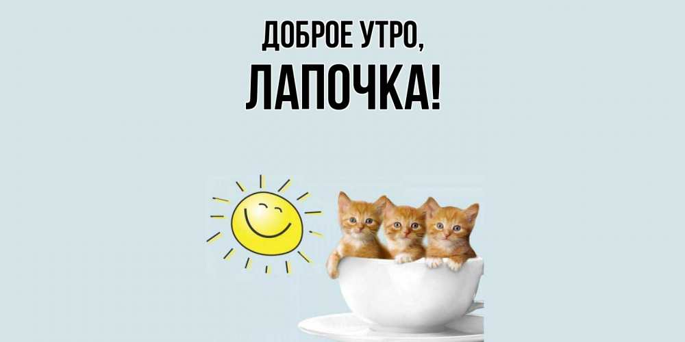Картинка Доброе утро, Лапочка