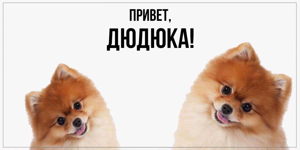 Картинка Привет, дюдюка