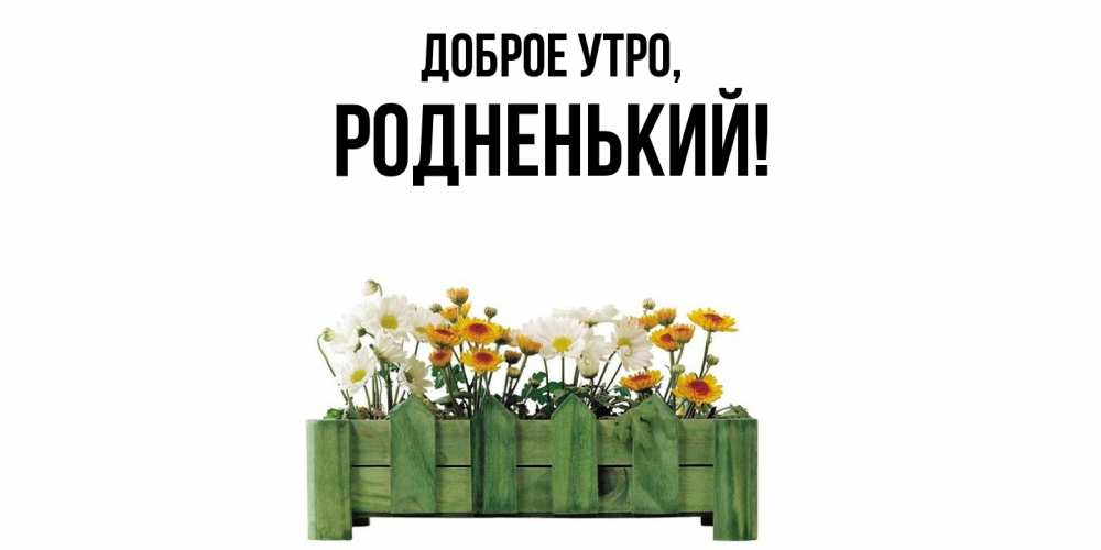 Картинка Доброе утро, родненький