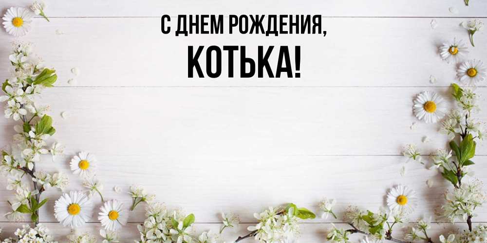 Открытка с именем, котька, С днем рождения