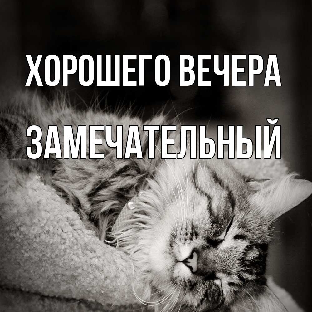 Открытка  для любимых и родных. замечательный, Хорошего вечера  