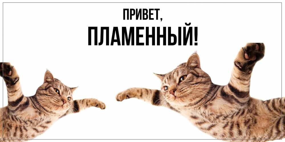 Открытка  для любимых и родных. пламенный, Привет  