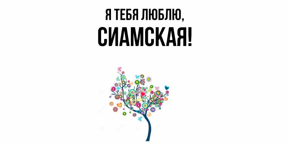 Открытка  для любимых и родных. сиамская, Я тебя люблю  