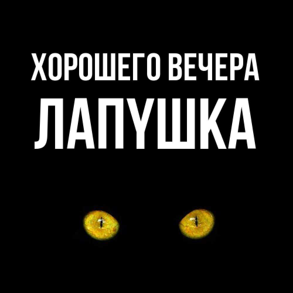 Открытка  для любимых и родных. лапyшка, Хорошего вечера  