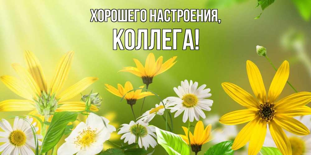 Открытка с именем, Коллега, Хорошего настроения