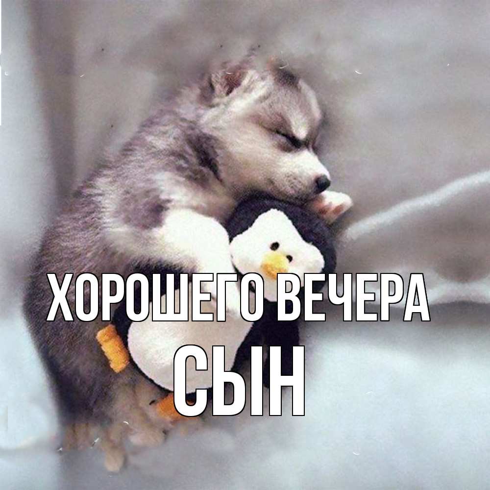 Картинка Хорошего вечера, Сын
