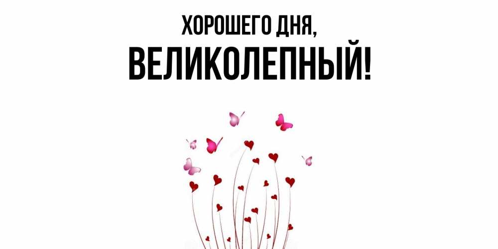 Картинка Хорошего дня, великолепный