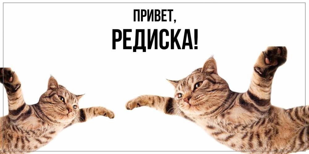 Картинка Привет, редиска