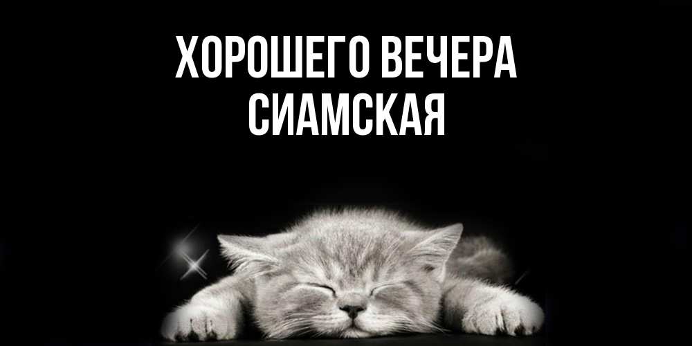 Открытка  для любимых и родных. сиамская, Хорошего вечера  