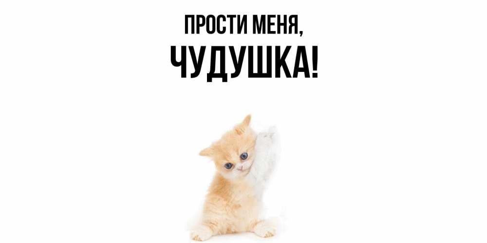 Картинка Прости меня, чудушка