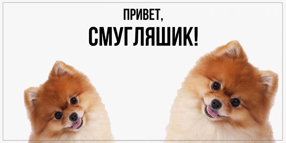 Открытка  для любимых и родных. смугляшик, Привет  