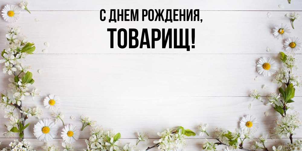 Картинка С днем рождения, Товарищ