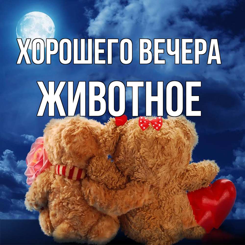 Картинка Хорошего вечера, животное