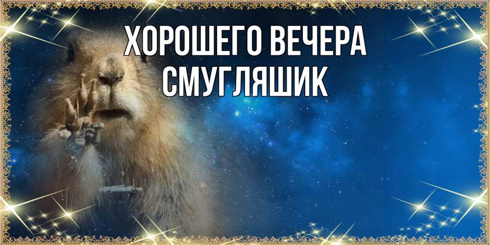 Открытка  для любимых и родных. смугляшик, Хорошего вечера  