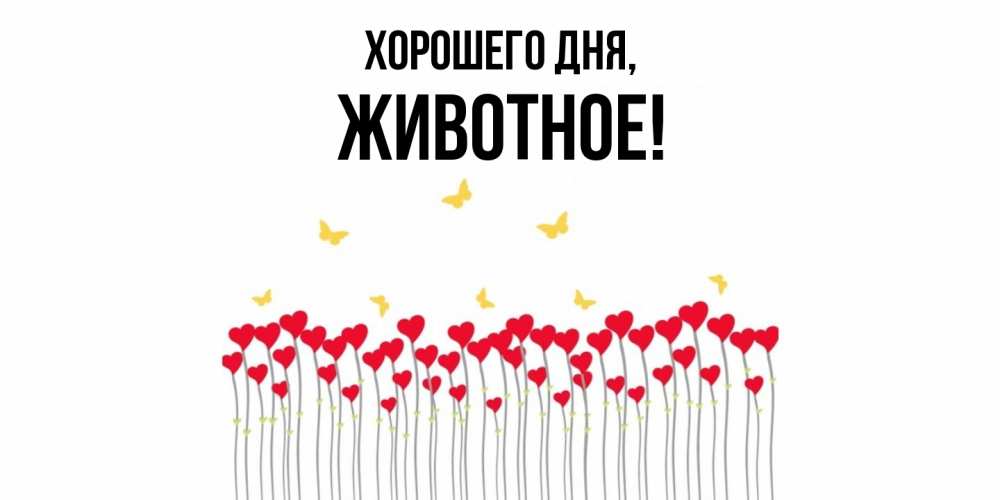 Картинка Хорошего дня, животное