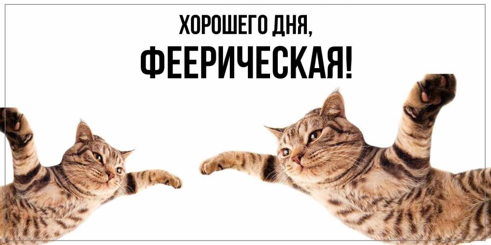Открытка  для любимых и родных. фееpическая, Хорошего дня  