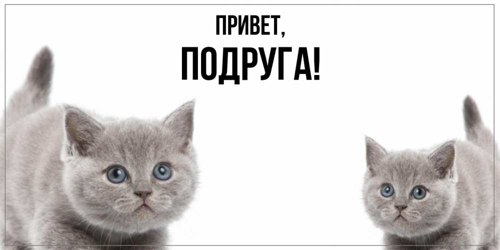 Открытка  для любимых и родных. Подруга, Привет  