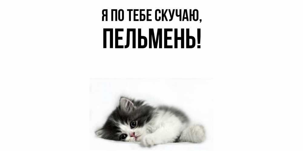 Открытка  для любимых и родных. пельмень, Я по тебе скучаю  