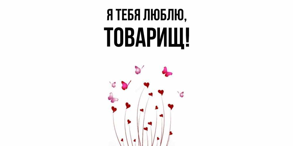 Картинка Я тебя люблю, Товарищ