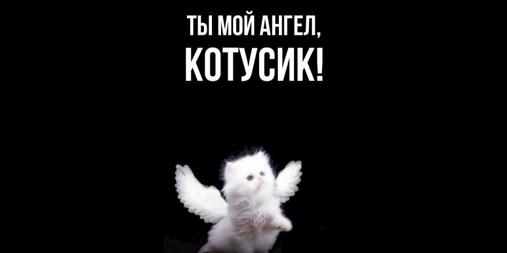 Открытка  для любимых и родных. котусик, Ты мой ангел  