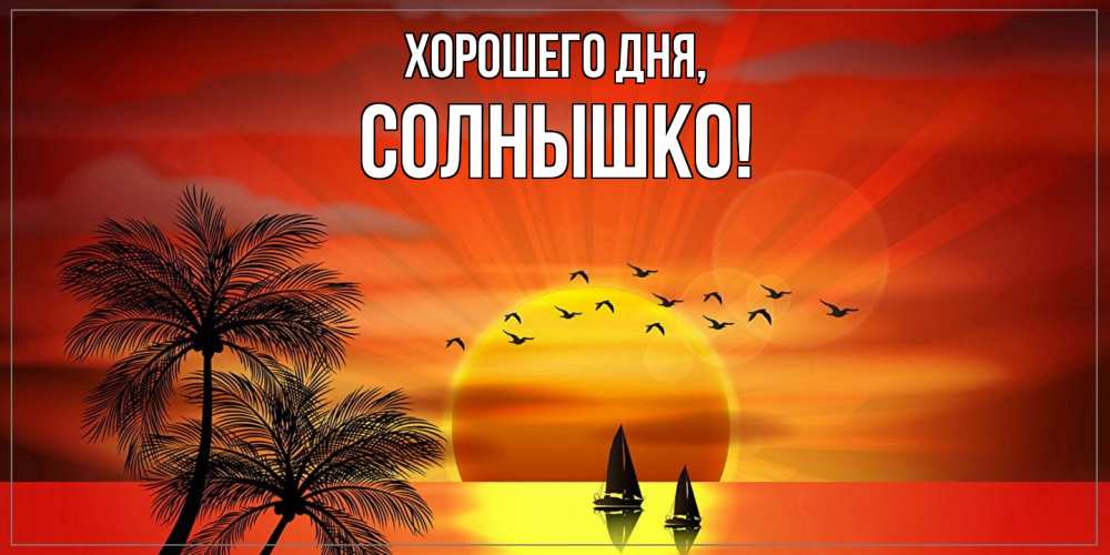 Открытка  для любимых и родных. cолнышко, Хорошего дня  