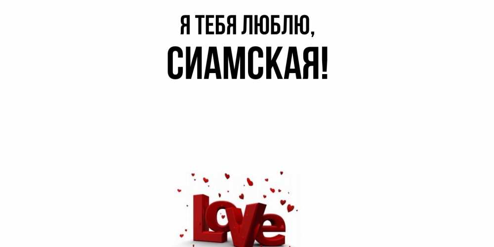Открытка  для любимых и родных. сиамская, Я тебя люблю  
