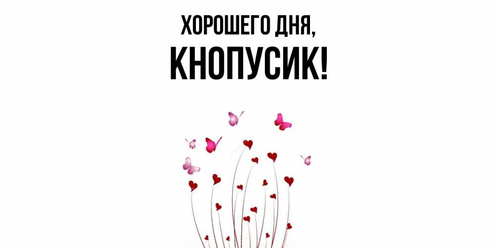Открытка  для любимых и родных. кнопусик, Хорошего дня  
