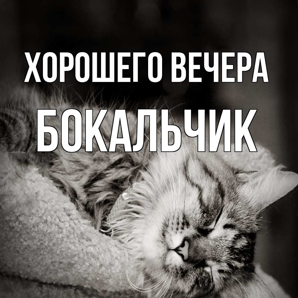 Открытка  для любимых и родных. бокальчик, Хорошего вечера  