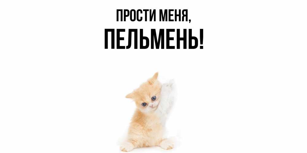 Открытка  для любимых и родных. пельмень, Прости меня  