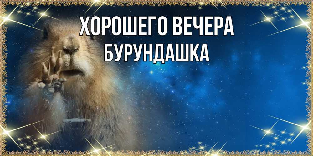 Картинка Хорошего вечера, бурундашка