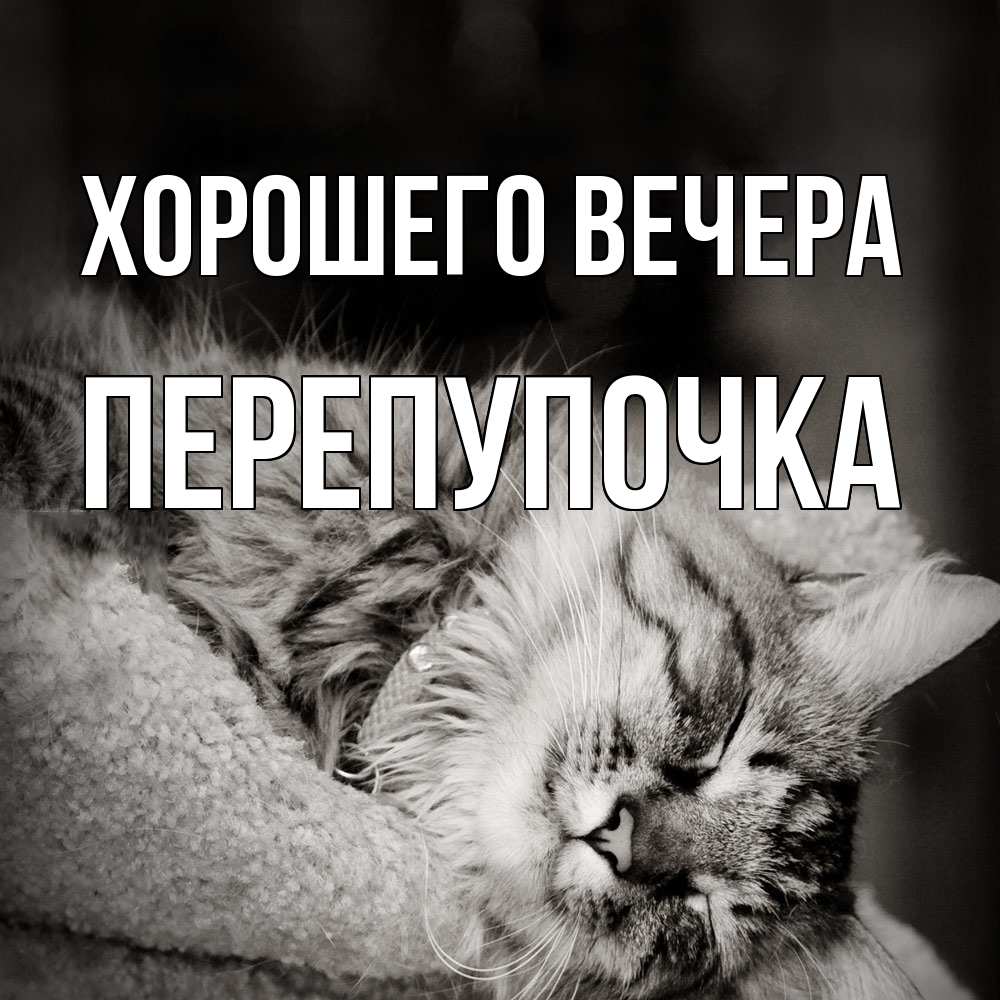 Открытка  для любимых и родных. перепупочка, Хорошего вечера  