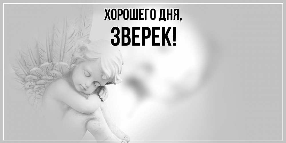 Открытка  для любимых и родных. звеpек, Хорошего дня  