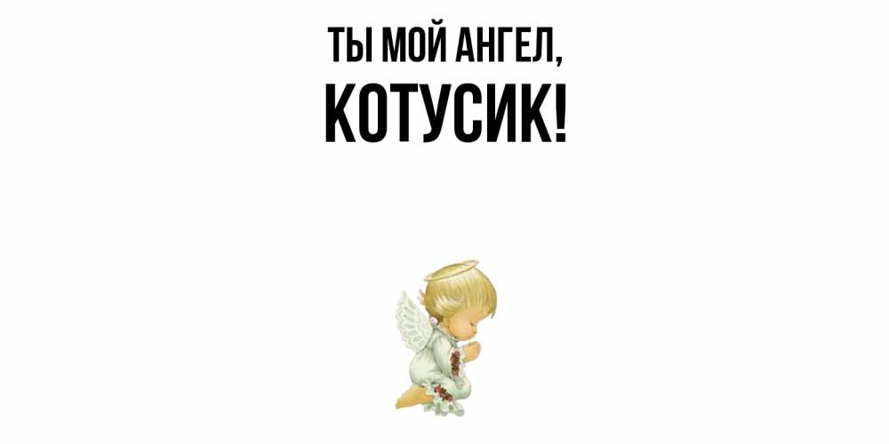 Картинка Ты мой ангел, котусик