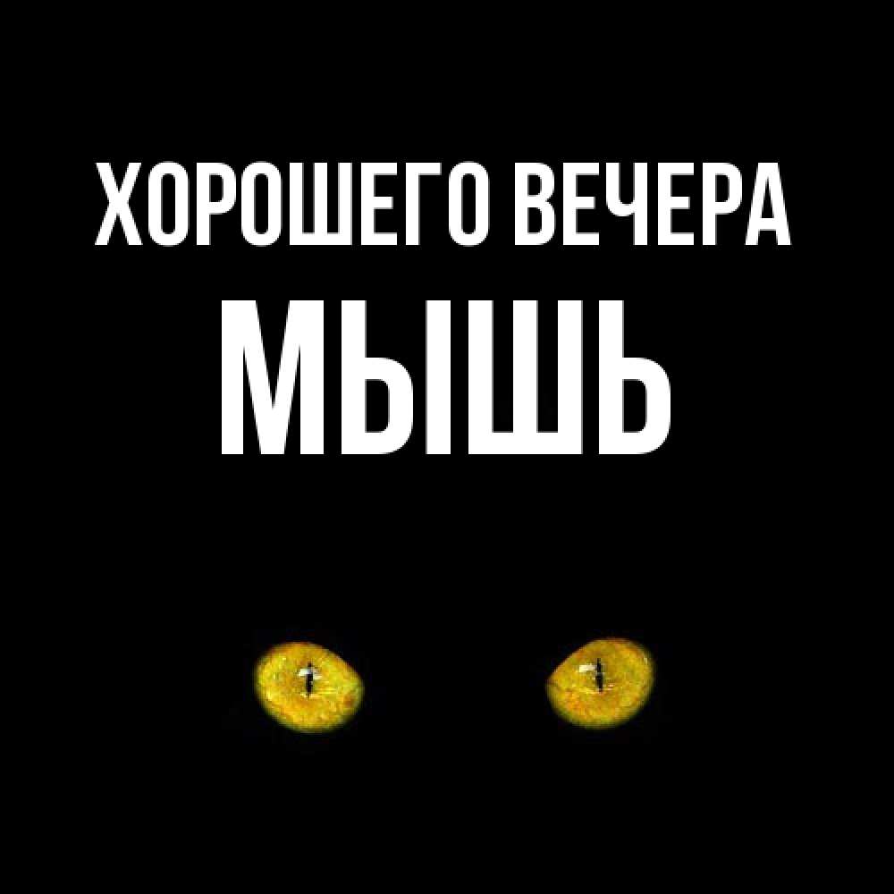 Картинка Хорошего вечера, мышь