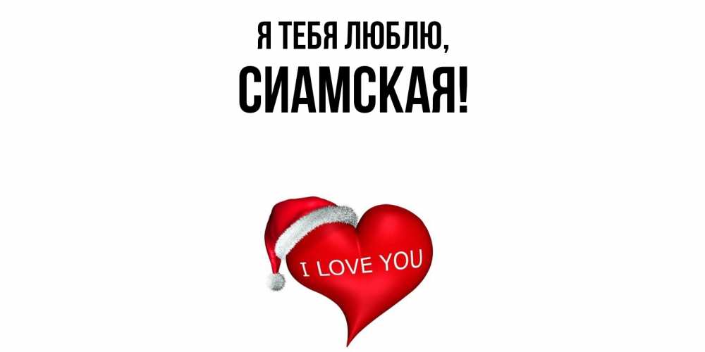 Открытка  для любимых и родных. сиамская, Я тебя люблю  