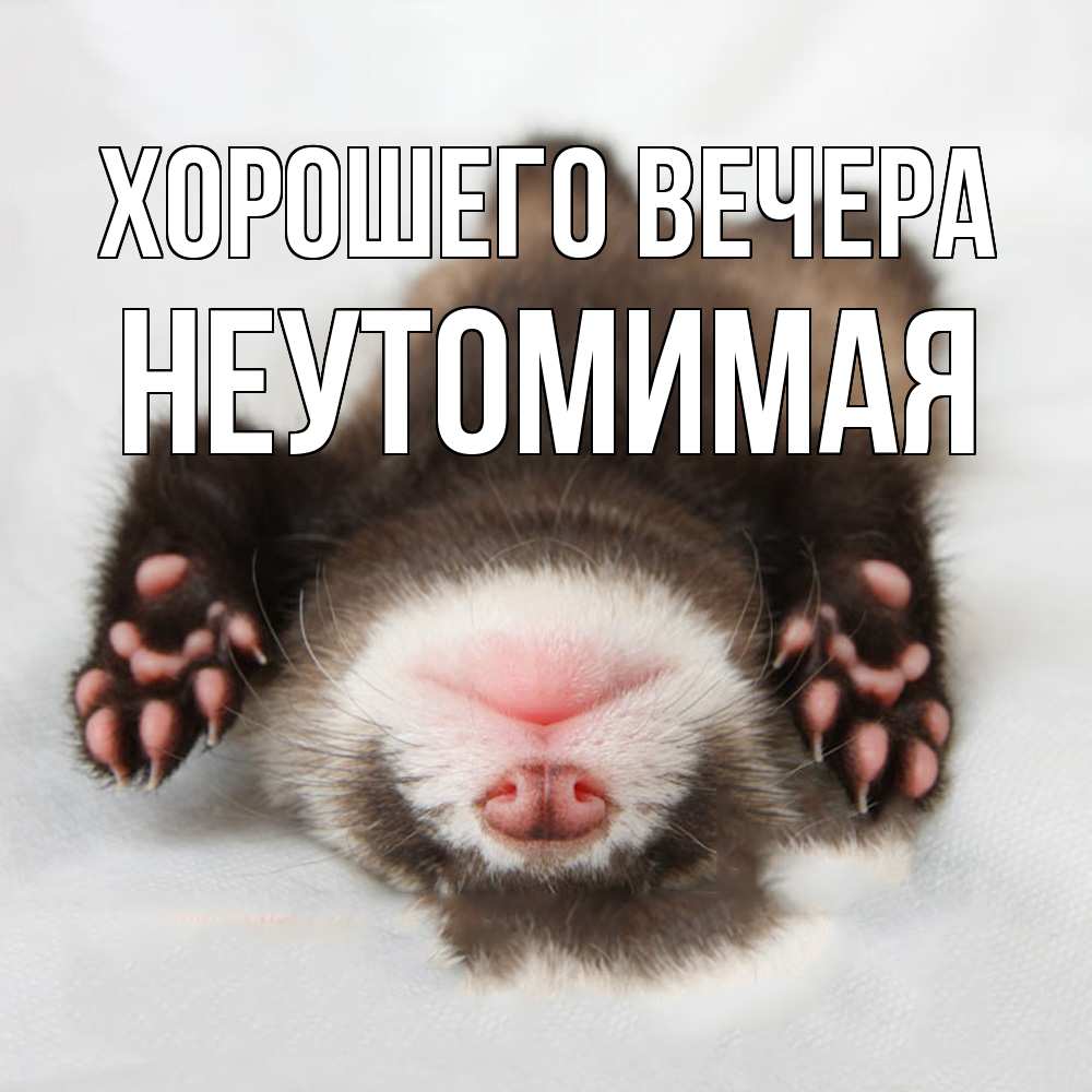 Открытка  для любимых и родных. неутомимая, Хорошего вечера  