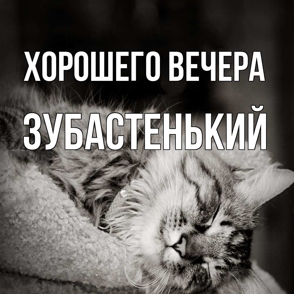 Картинка Хорошего вечера, зубастенький