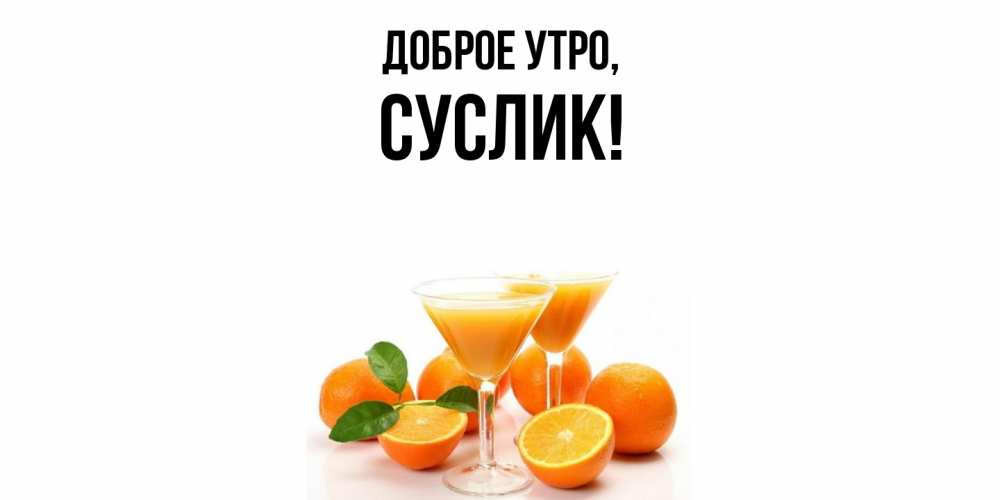 Картинка Доброе утро, суслик