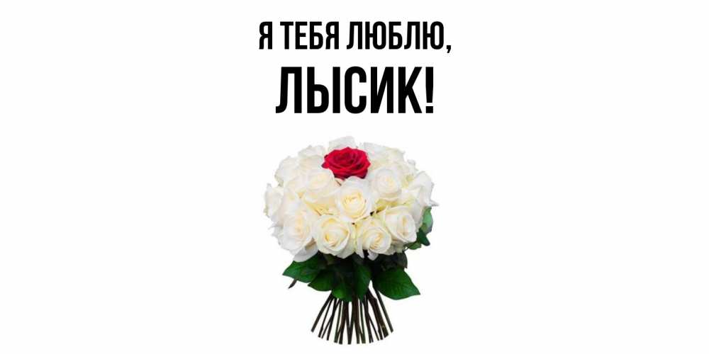 Открытка  для любимых и родных. лысик, Я тебя люблю  