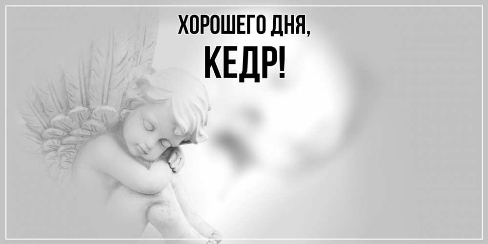 Открытка  для любимых и родных. кедр, Хорошего дня  