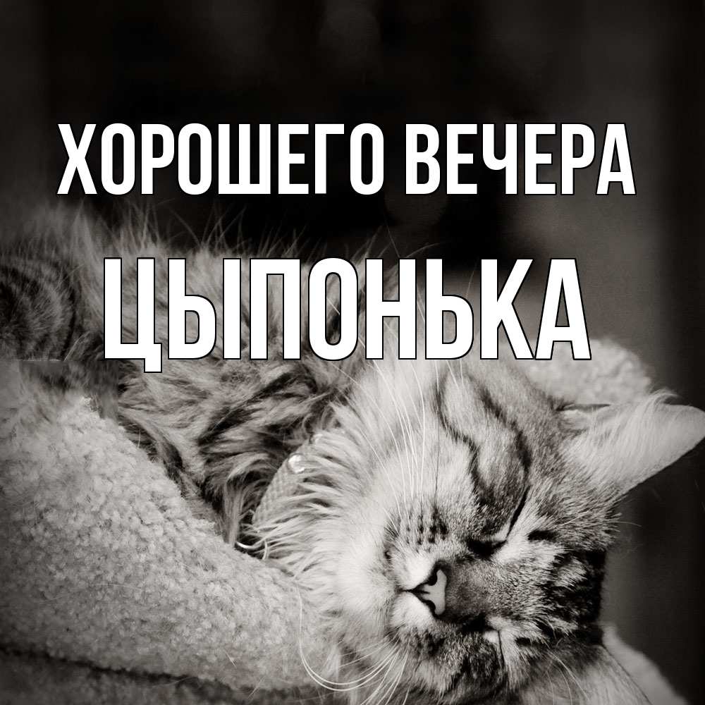 Картинка Хорошего вечера, цыпонька