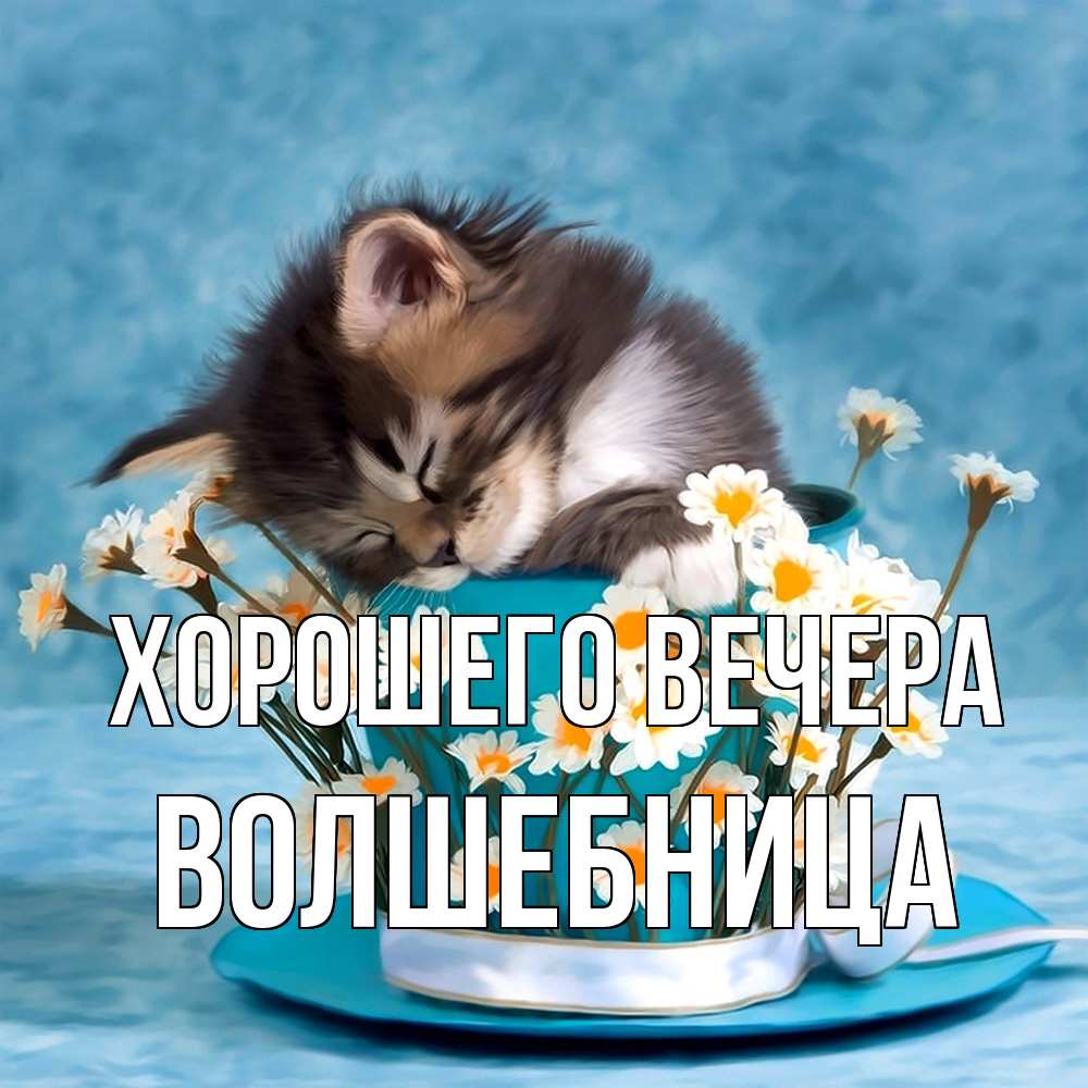 Картинка Хорошего вечера, волшебница