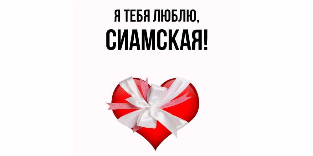 Открытка  для любимых и родных. сиамская, Я тебя люблю  