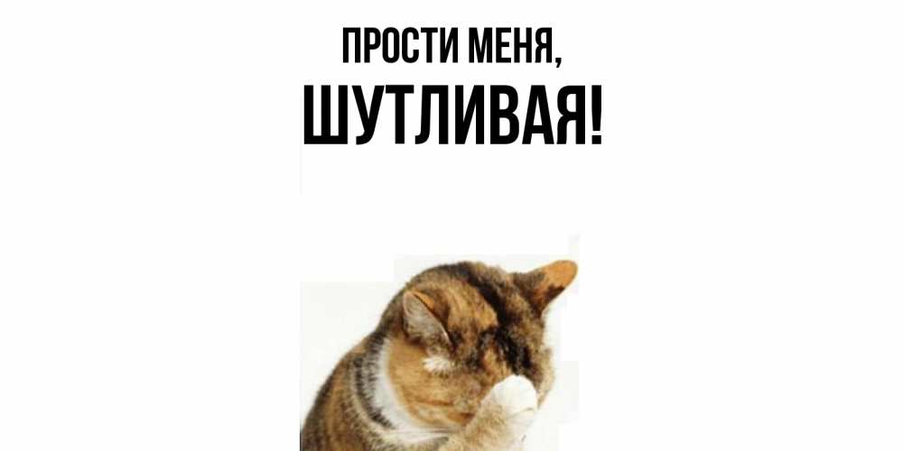 Картинка Прости меня, шутливая