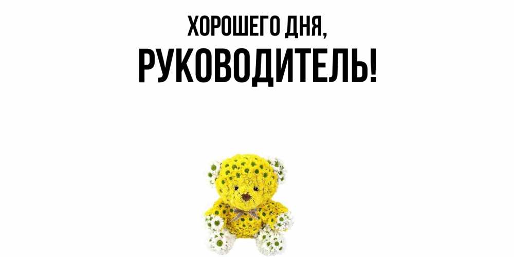 Открытка  для любимых и родных. Руководитель, Хорошего дня  