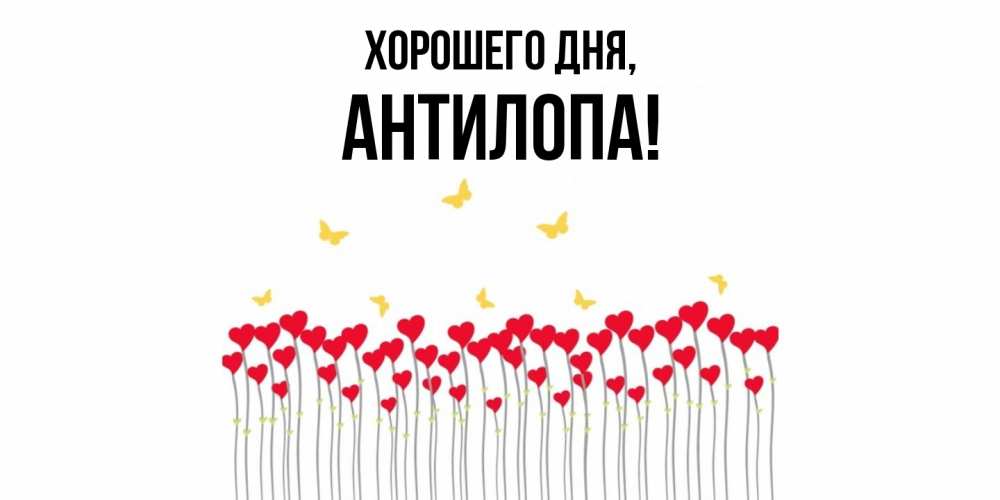 Открытка  для любимых и родных. антилопа, Хорошего дня  