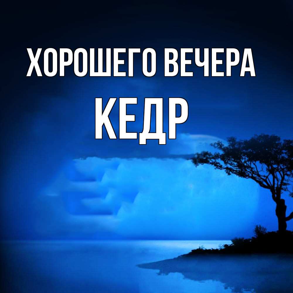 Картинка Хорошего вечера, кедр