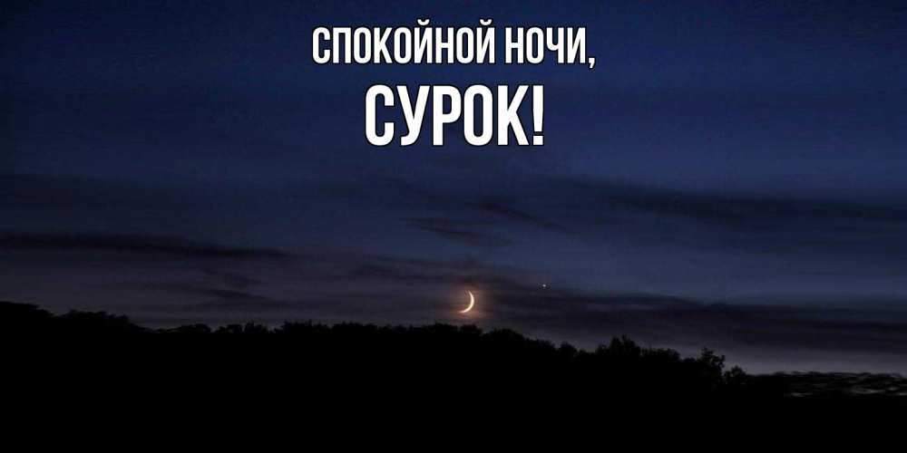 Открытка  для любимых и родных. сурок, Спокойной ночи  