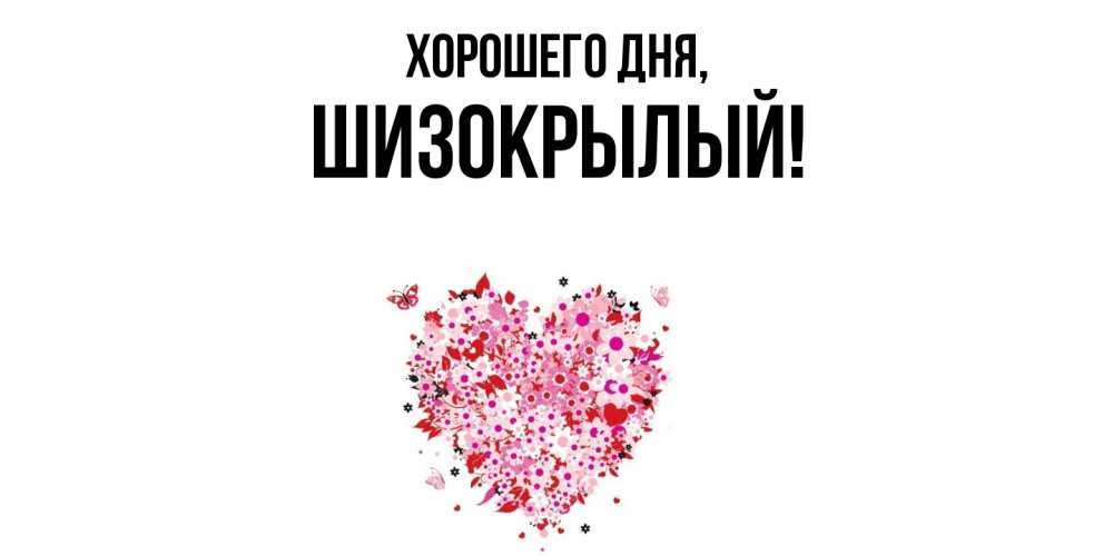 Открытка  для любимых и родных. шизокрылый, Хорошего дня  
