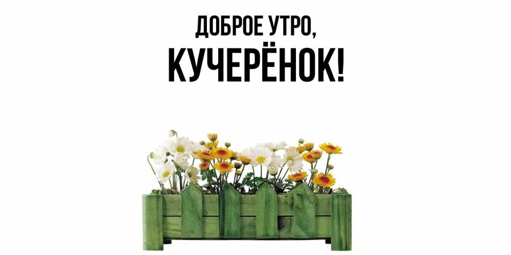 Открытка  для любимых и родных. кучерёнок, Доброе утро  